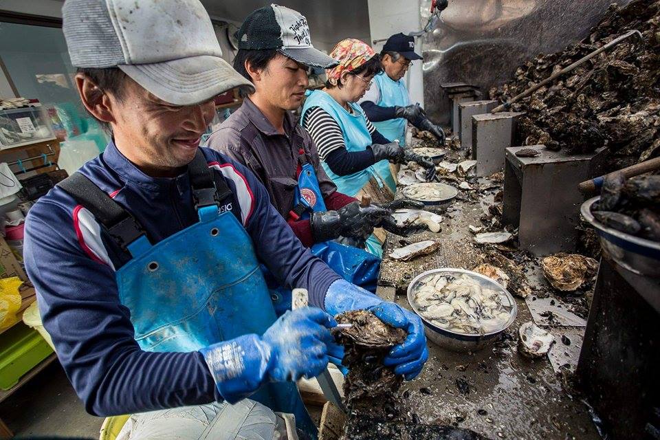 季節になると一家総出での作業が続く