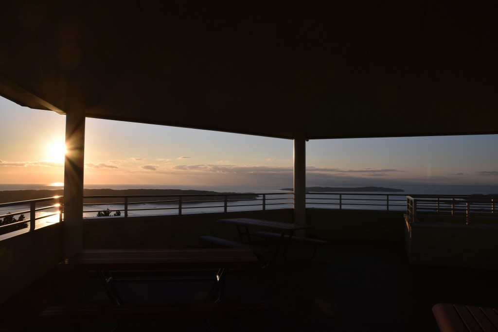 DSC_0205