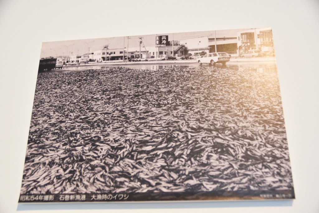 魚を積んだトラックが重すぎて角を曲がり切れず、大量の魚を道に落としていったのを市民が拾い集めて食べていた、というのは有名な昔話。それを彷彿とさせる興味深い写真が多い