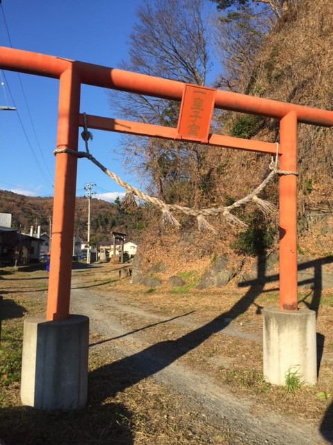 道路に面して建つ朱色の鳥居