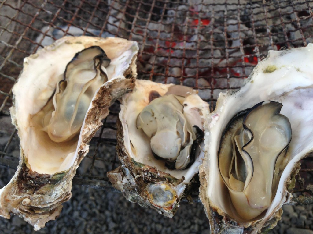 冬から春にかけてが旬と言われる「真牡蠣」ですが、夏も産卵期を迎え、濃厚でクリーミ―な味わいに。年中、おいしい牡蠣を満喫できるのがこちらの自慢です。. 902190_157497944413608_770126049_o.