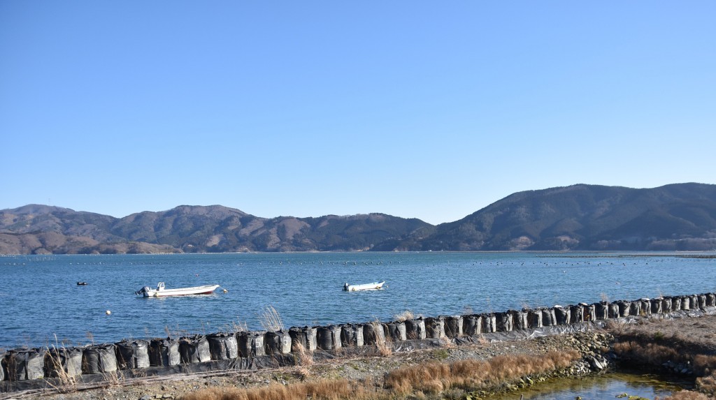 牡蠣養殖が盛んな内海の万石浦。震災の影響で地盤沈下がひどく、現在も工事が続いている