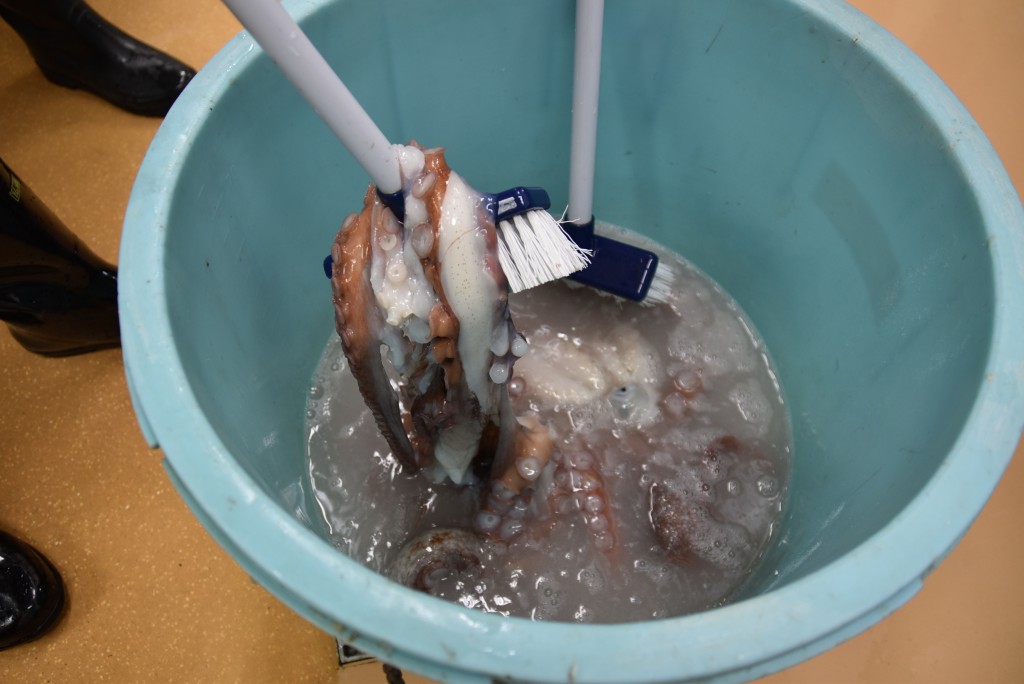 最初はこんな感じ