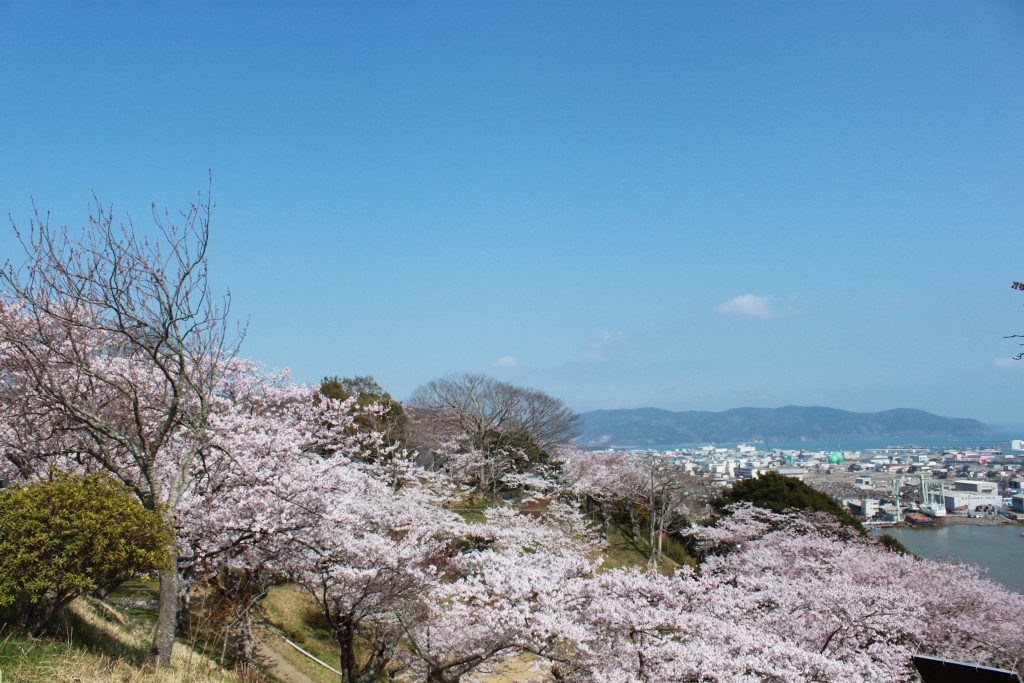 日和山から石巻の市街地を一望する風景