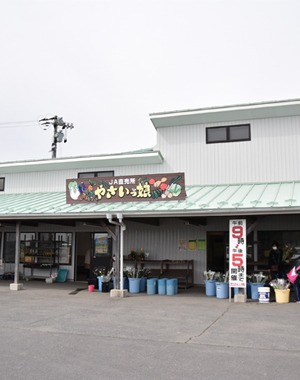 からし巻 冬季限定 海街さんぽ からし巻 冬季限定 海街さんぽ