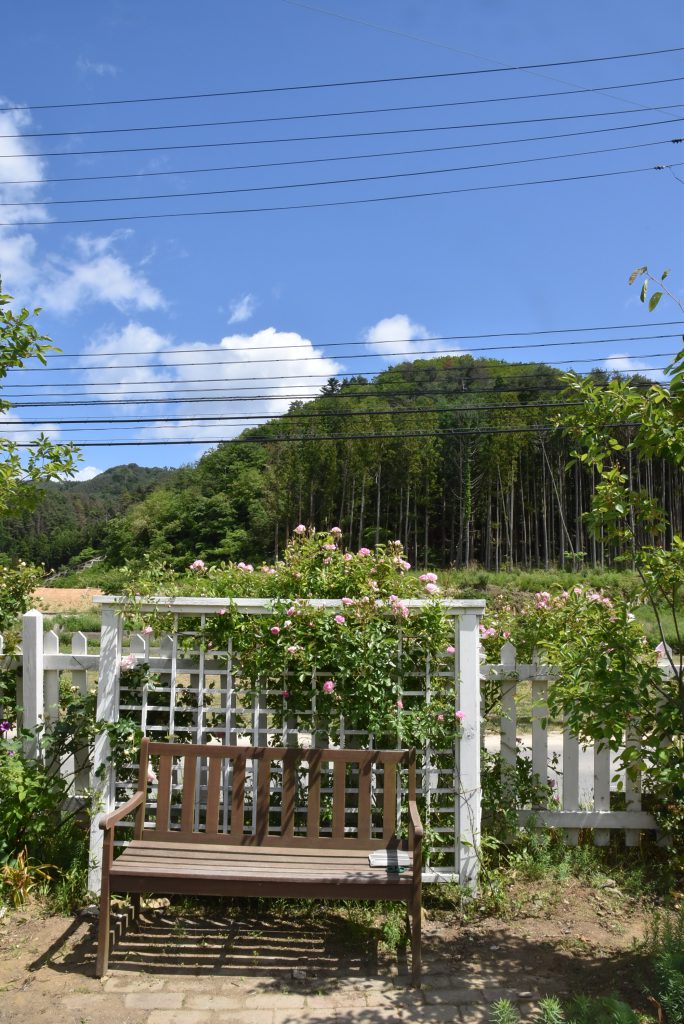 DSC_0045 (1)