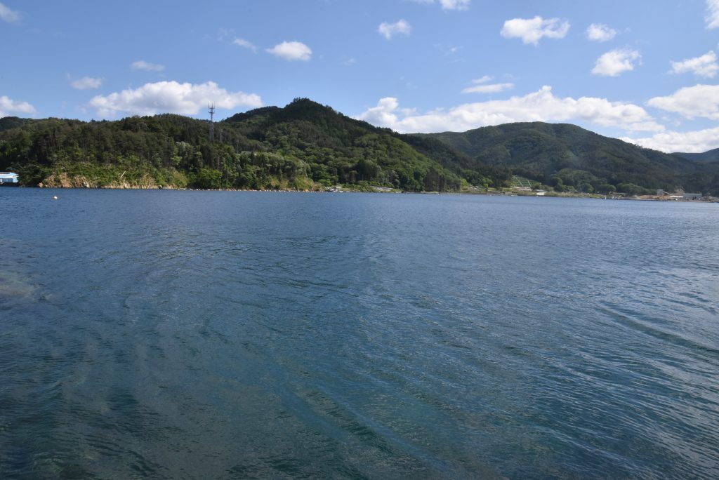 DSC_0151 (1)