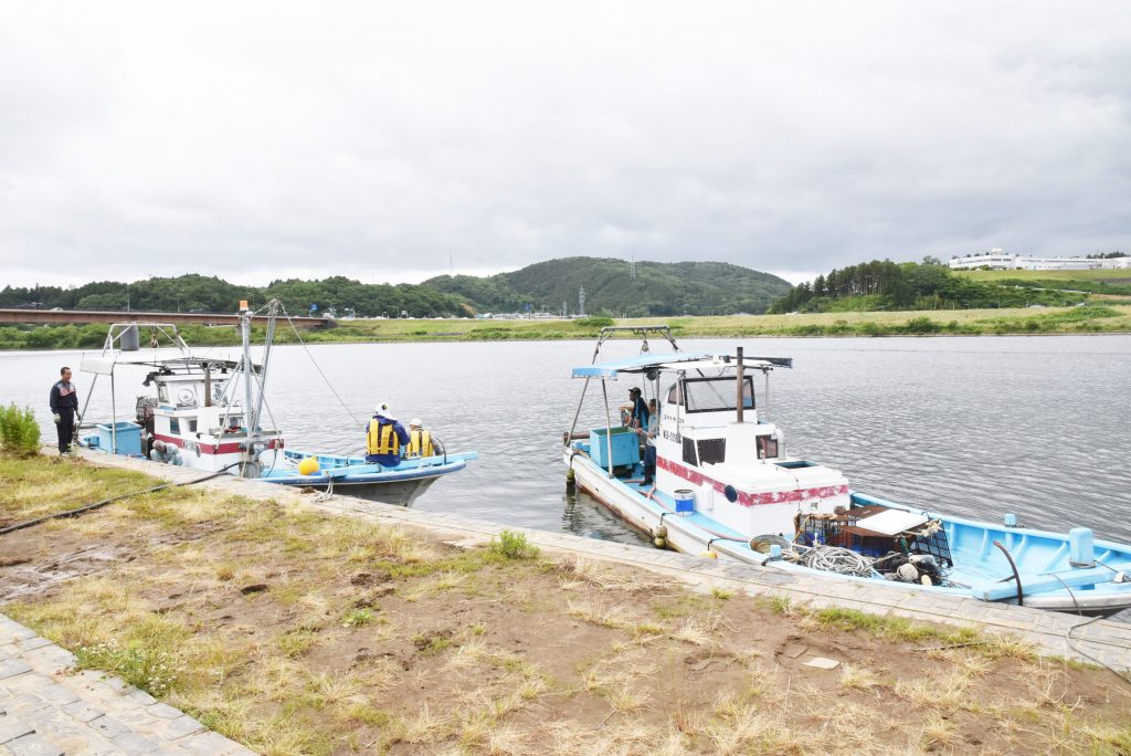 DSC_0193 (3)