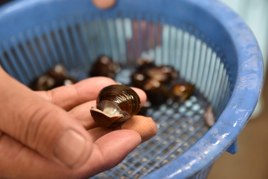 殻が割れたしじみは砂が抜けないため、販売はしまい。家族で汁などにしてありがたくいただくという