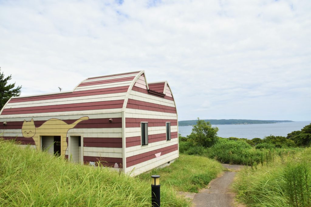 DSC_0805 (1)