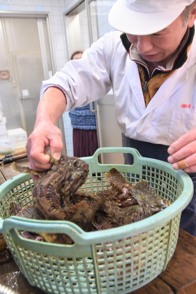 なんだかテンションが低いハルオ師匠。ぼっけは顔がこわいから嫌いな模様…