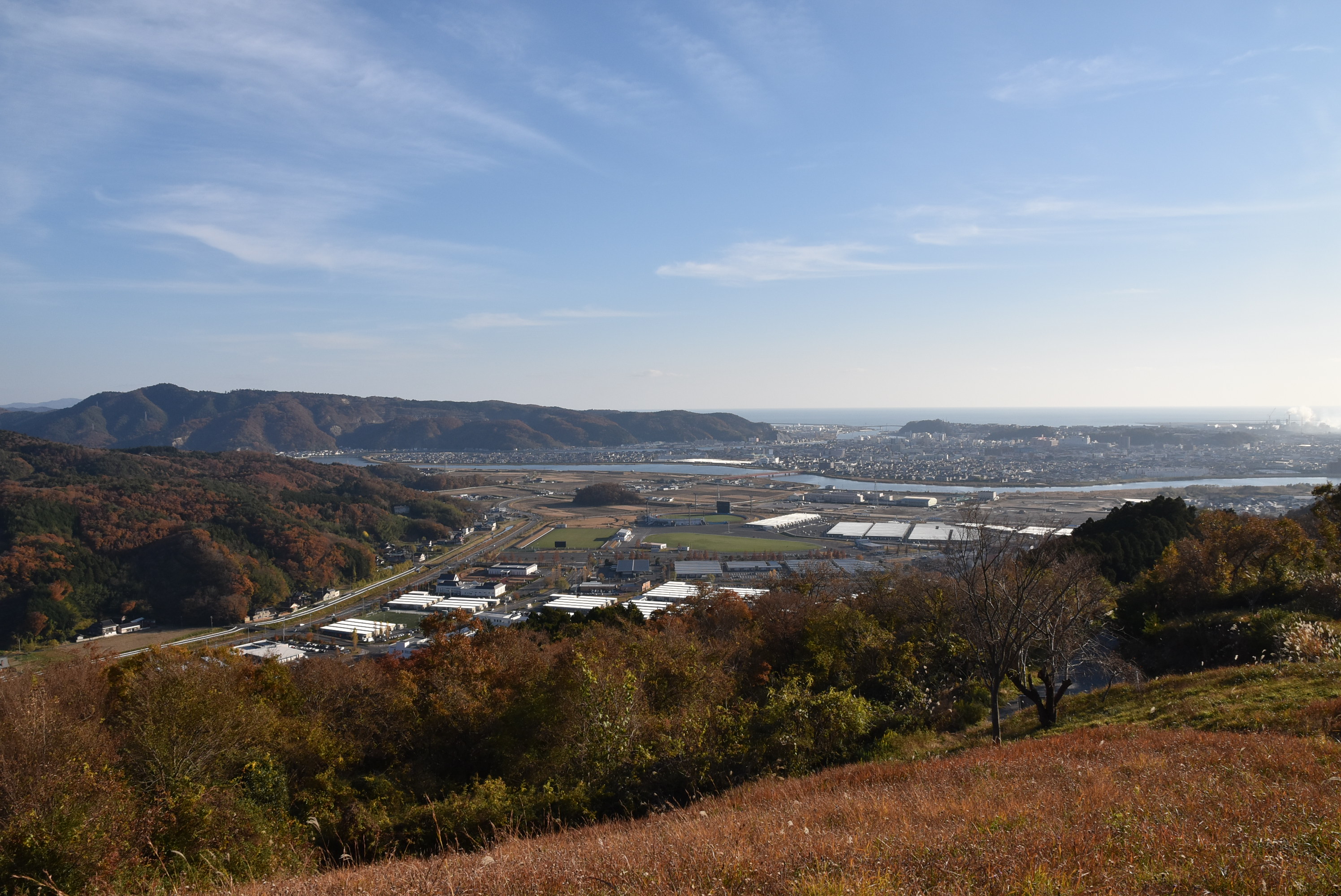 うまっこ山