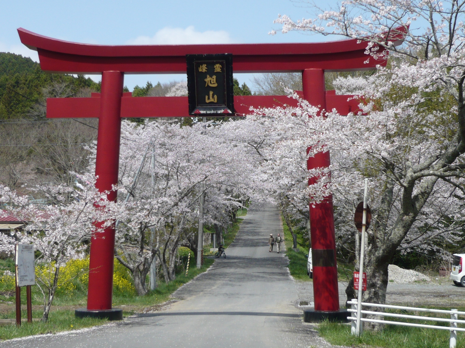 県立自然公園旭山