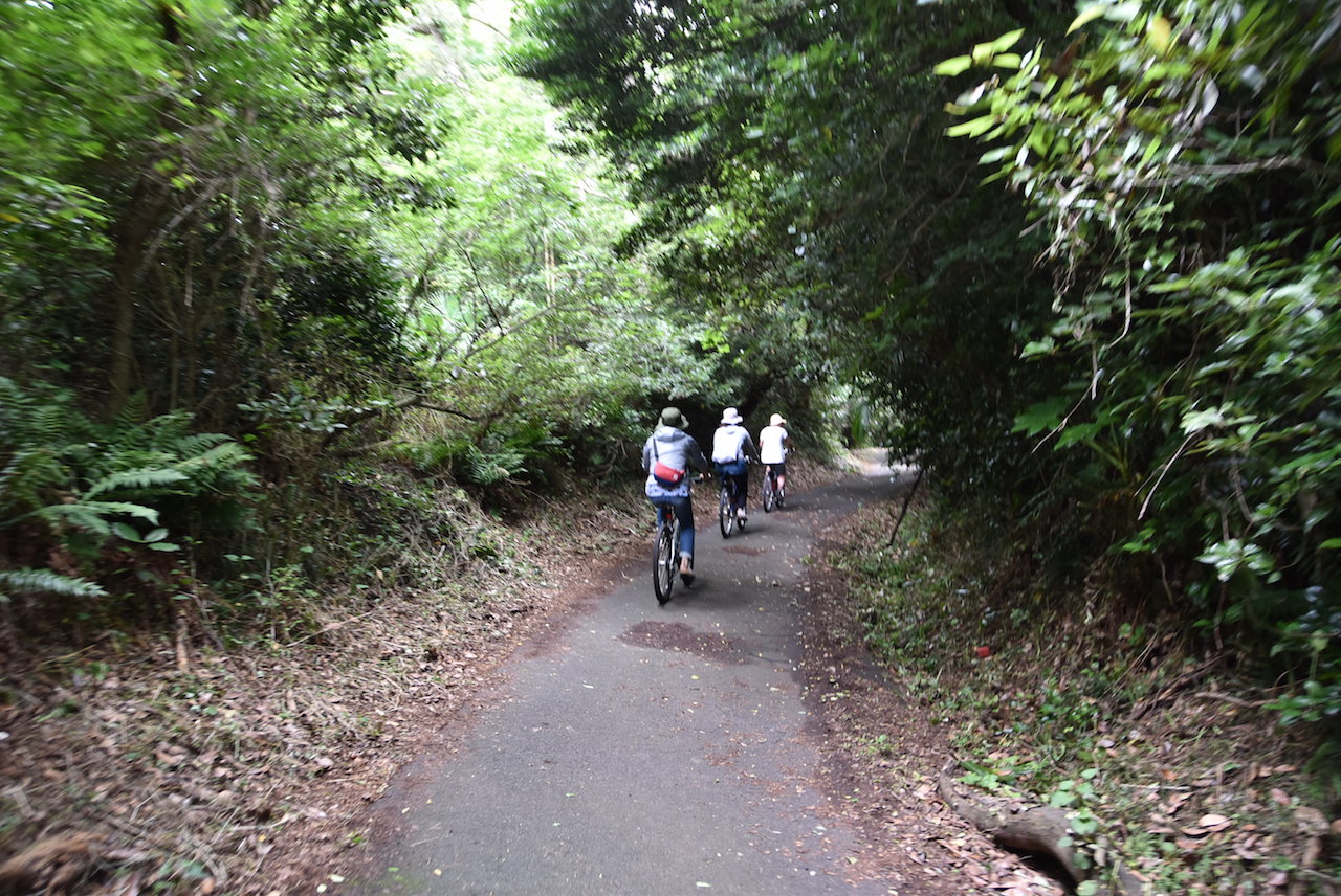 田代島