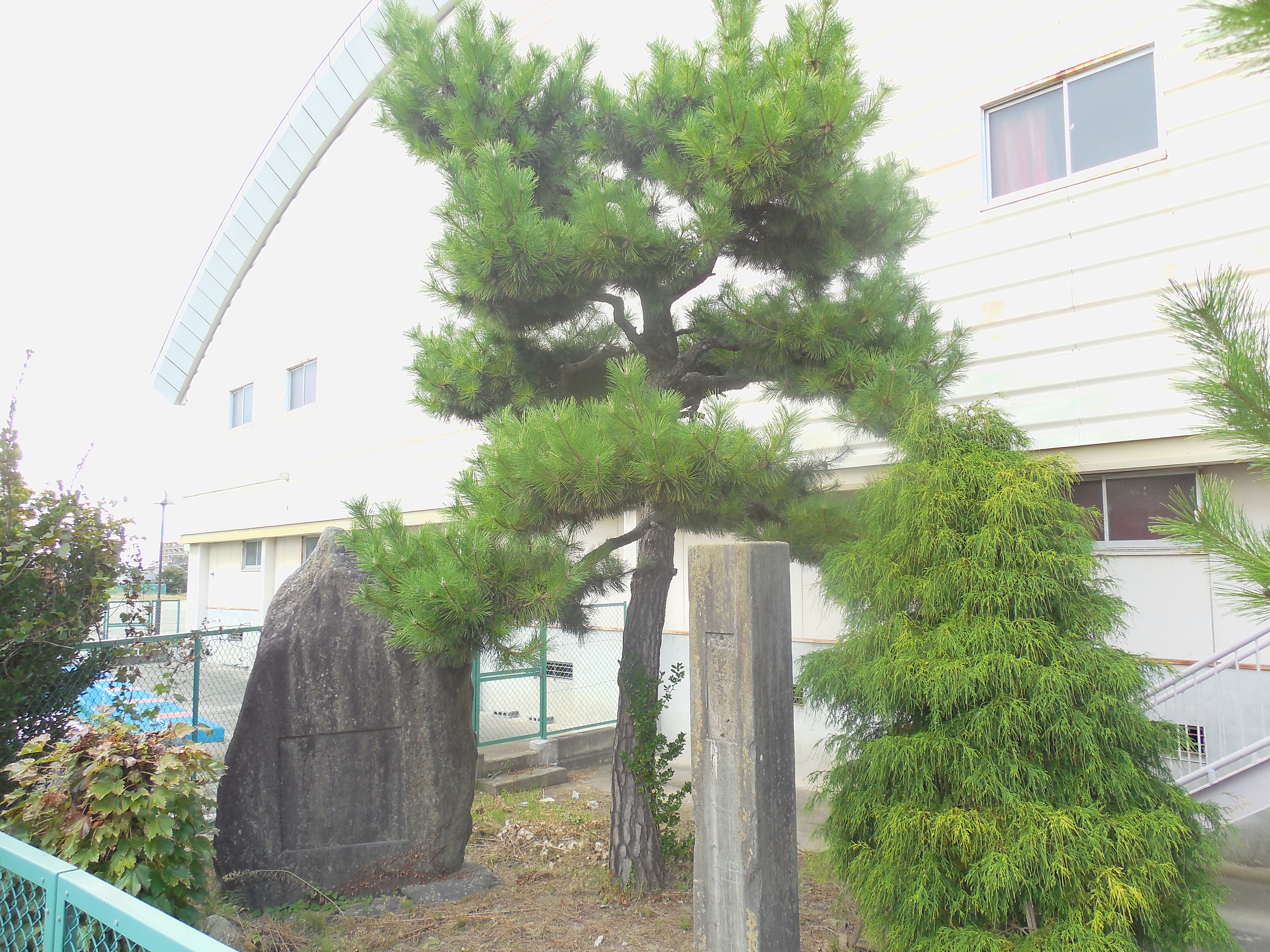 住吉小学校(仙台藩米蔵跡)