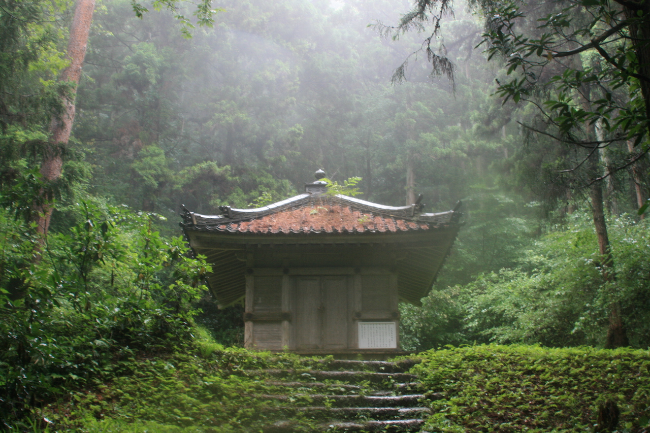 大高森