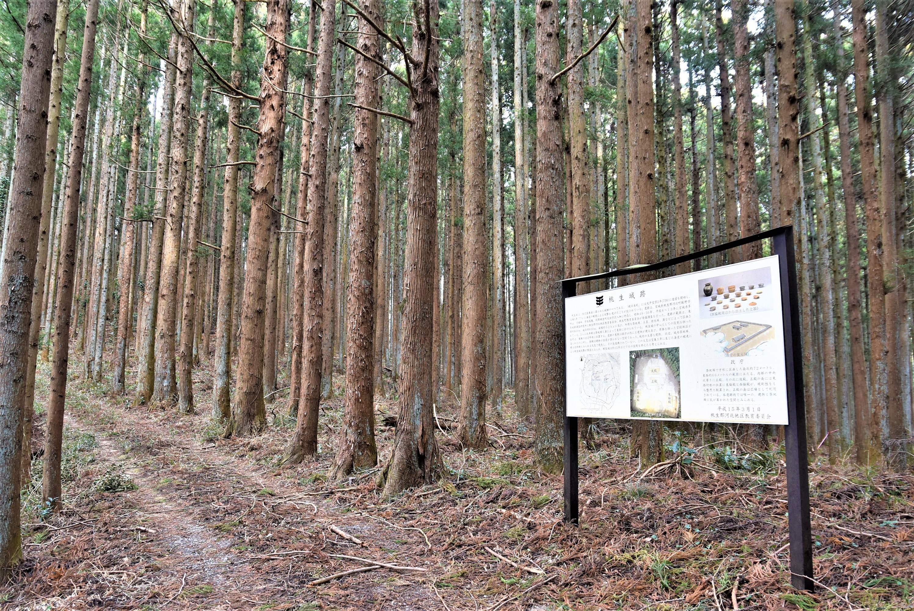 桃生城跡