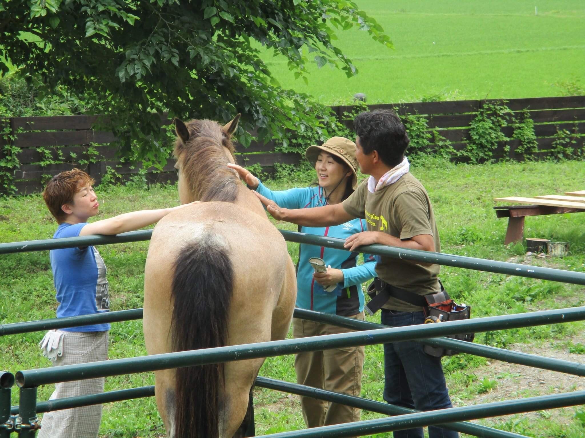 大人向け牧場体験プログラム・美馬森牧場