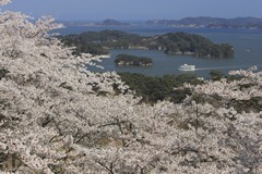 松島　西行戻しの松公園