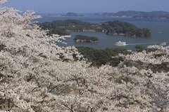 松島　西行戻しの松公園