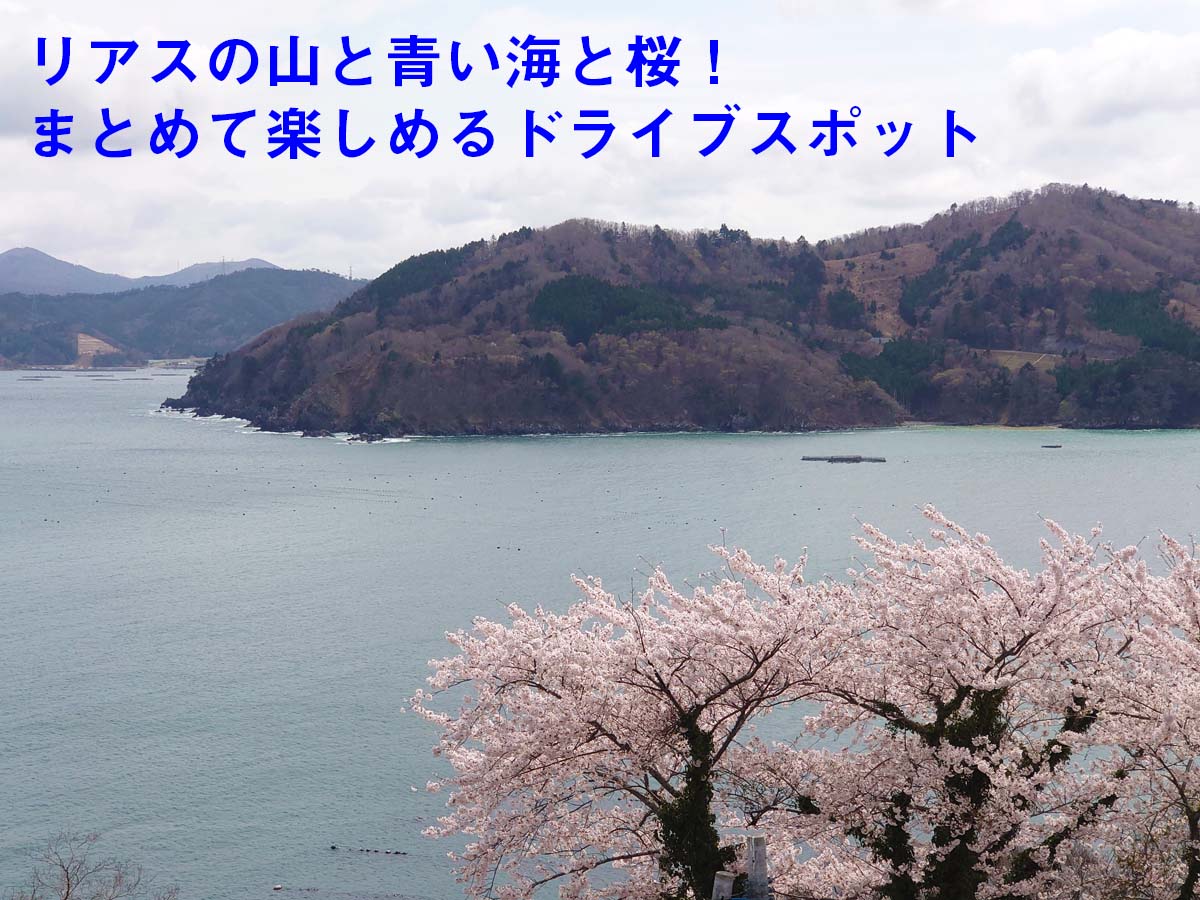 リアスの山と青い海と桜をまとめて楽しもう