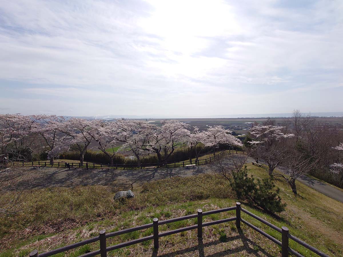 滝山からの眺め