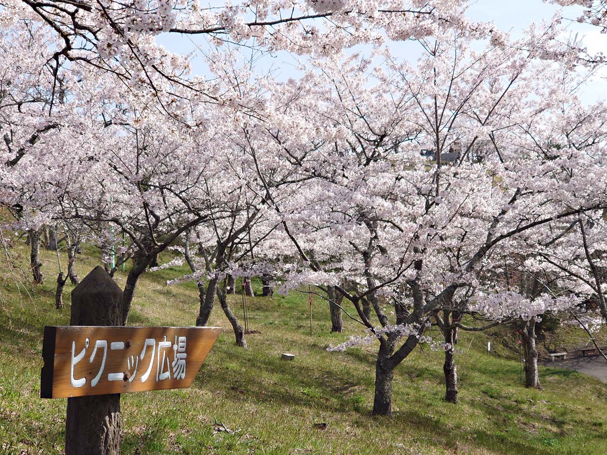 ピクニック広場