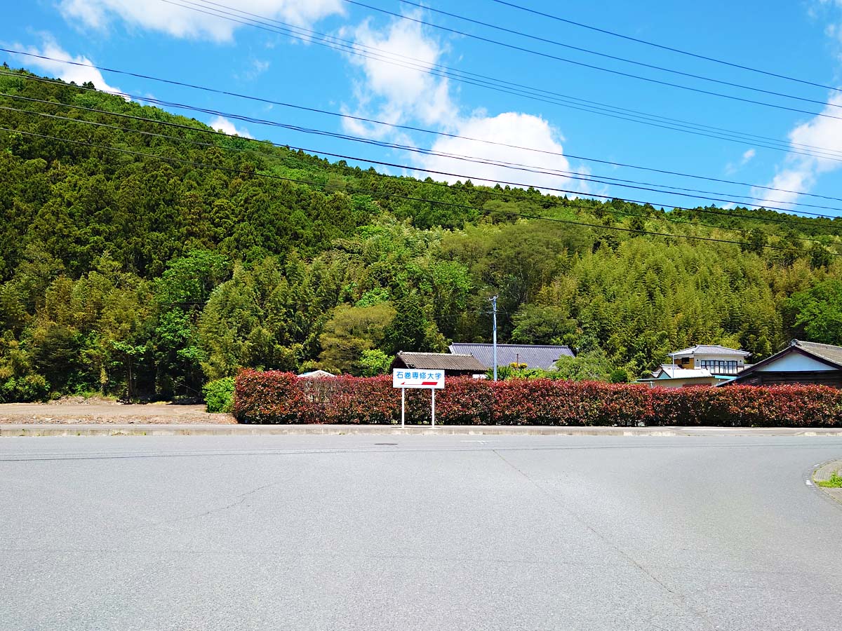 トヤケ森山への分かれ道