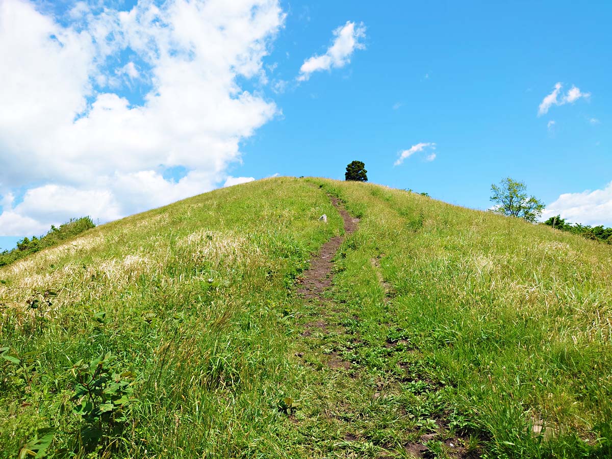 トヤケ森山山頂