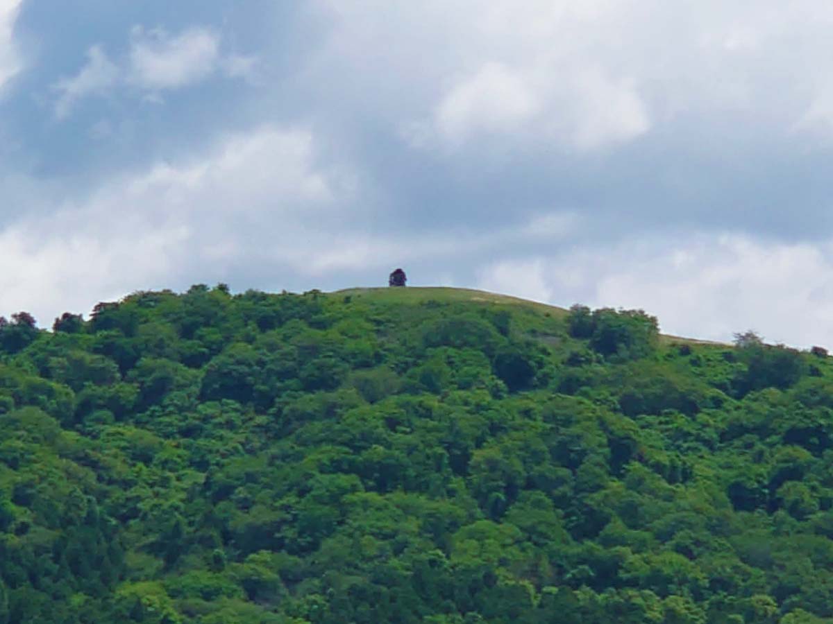 三陸道から見たトヤケ森山
