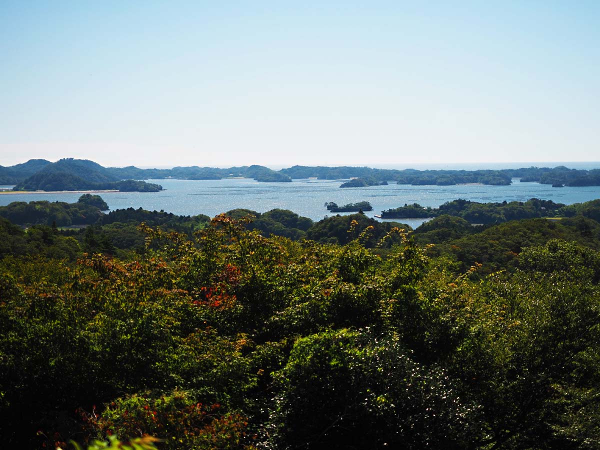 麗観・富山からの眺め