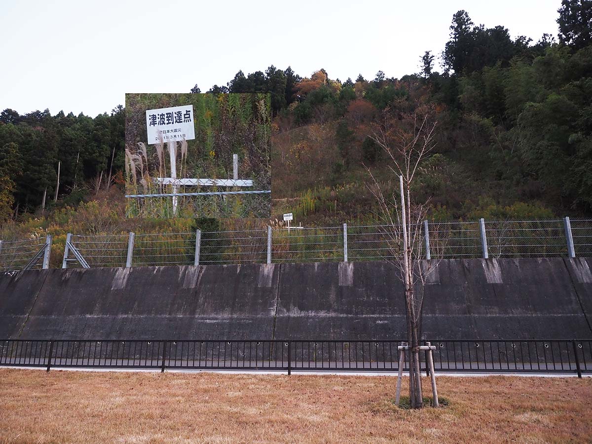 大川小学校津波到達点