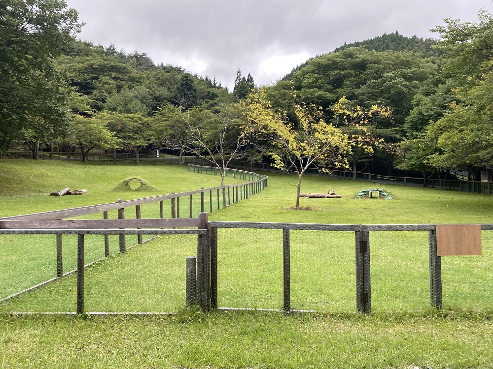 雄勝FORESTキャンプ場