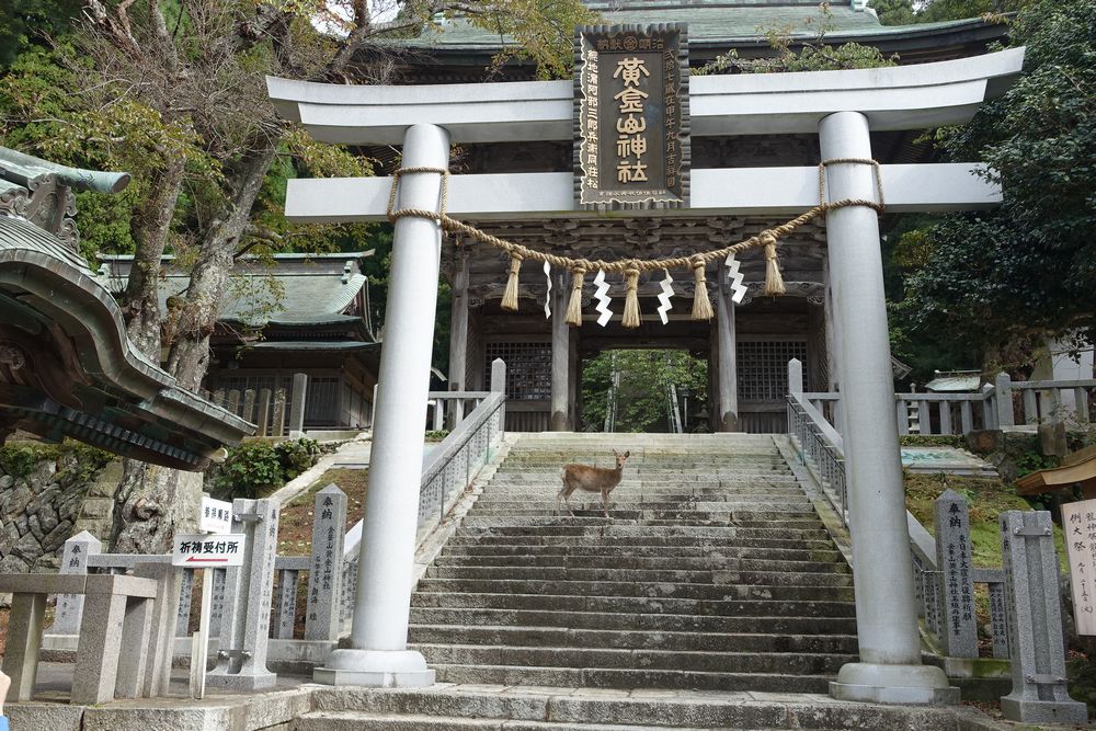 日本遺産「みちのくGOLD浪漫」二ヶ所の黄金山神社を巡る旅