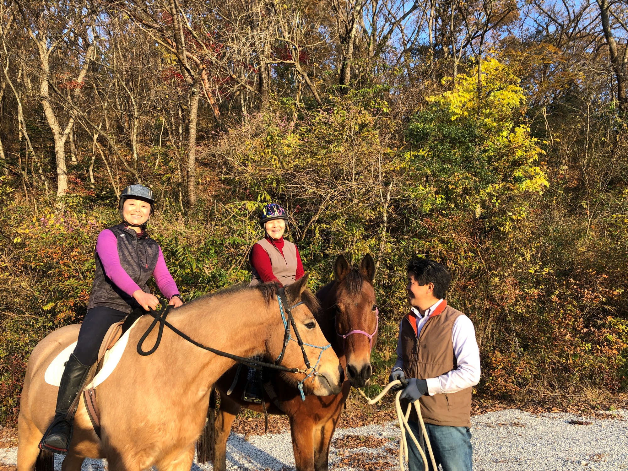 乗馬レッスン（40分・60分）・美馬森　八丸牧場のサムネイル