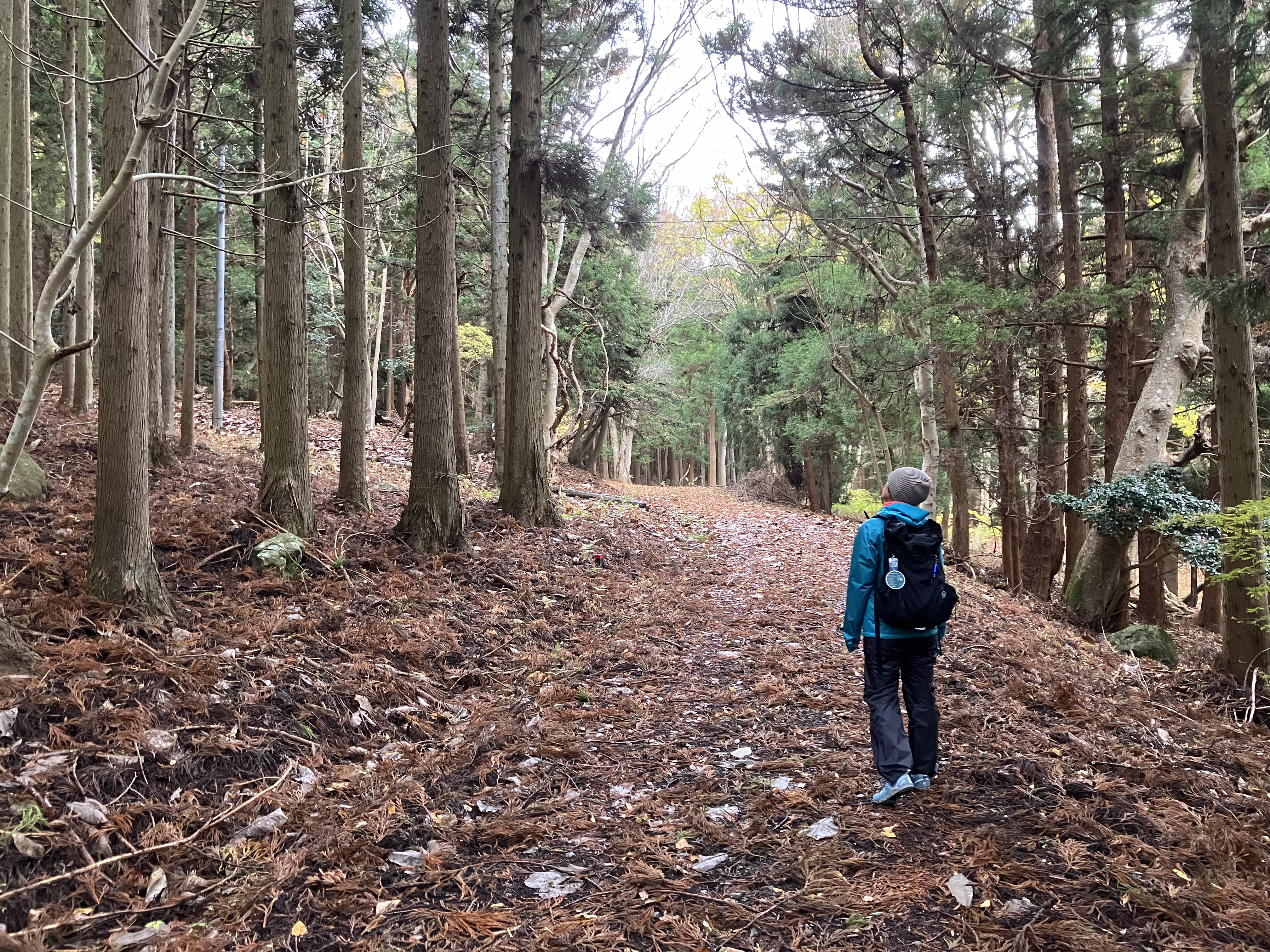【1/17】みちのく潮風トレイル／海街リレーハイク＃5「御番所山編」