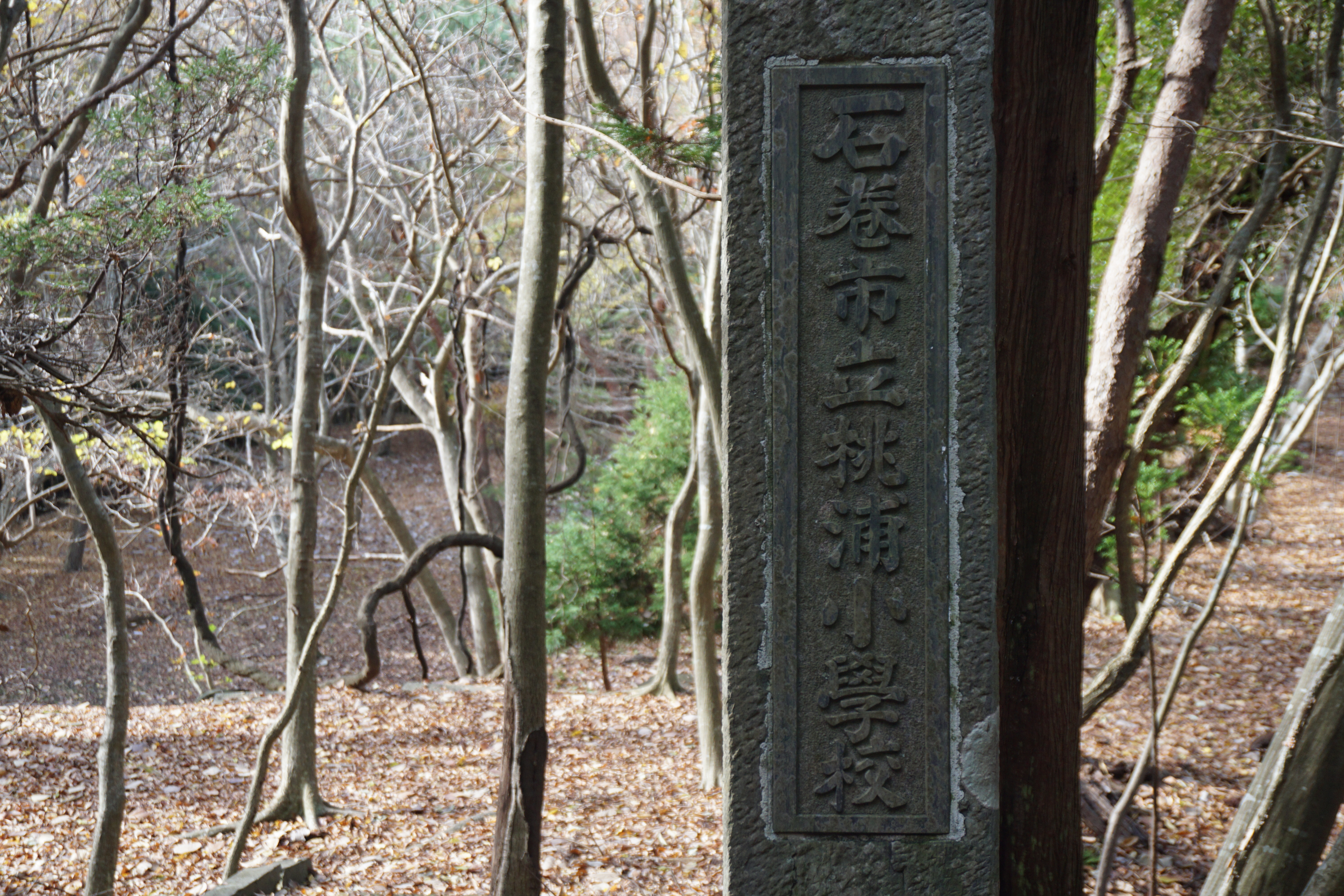 【2/21】みちのく潮風トレイル／海街リレーハイク＃6「牡鹿半島編」