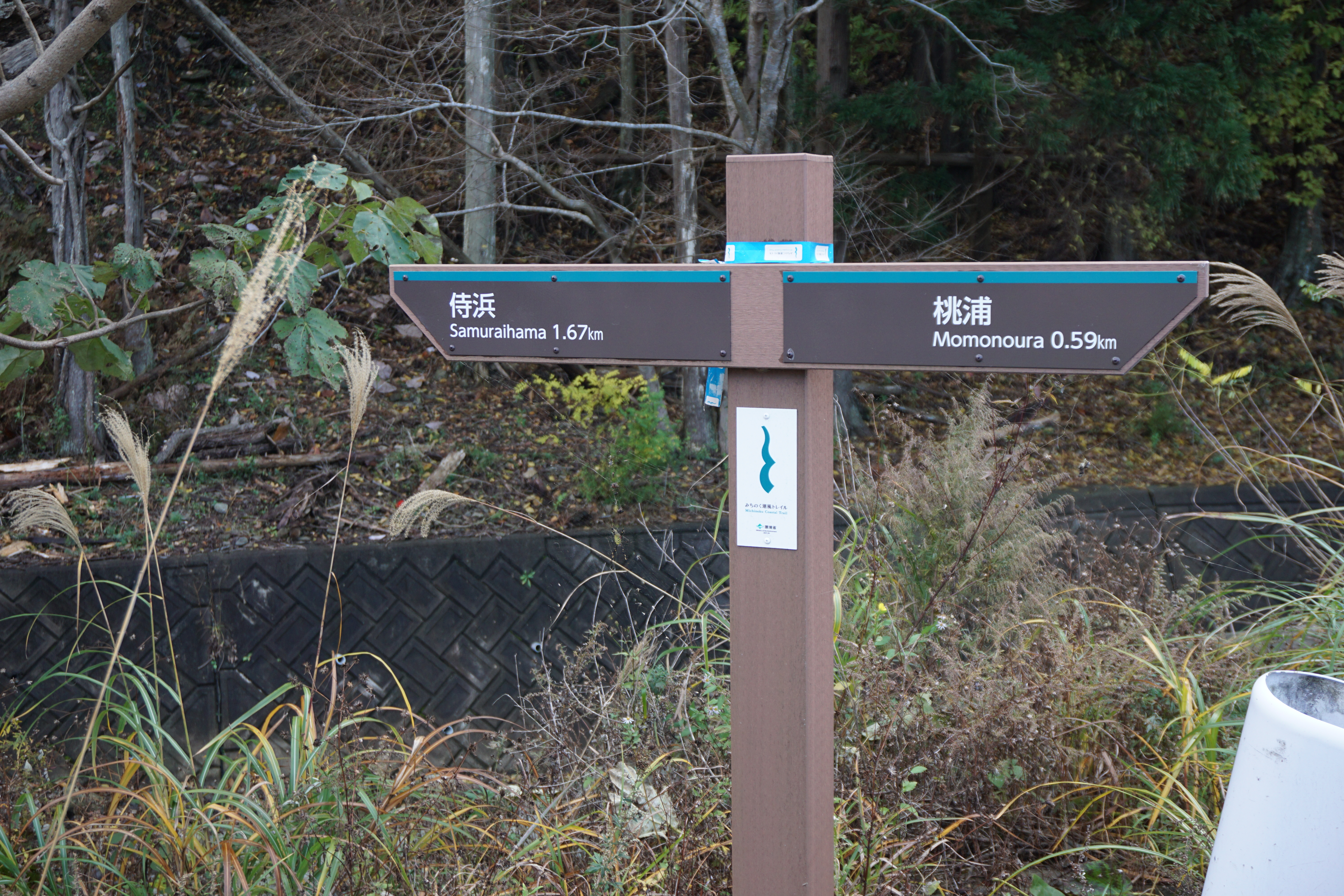 【2/21】みちのく潮風トレイル／海街リレーハイク＃6「牡鹿半島編」