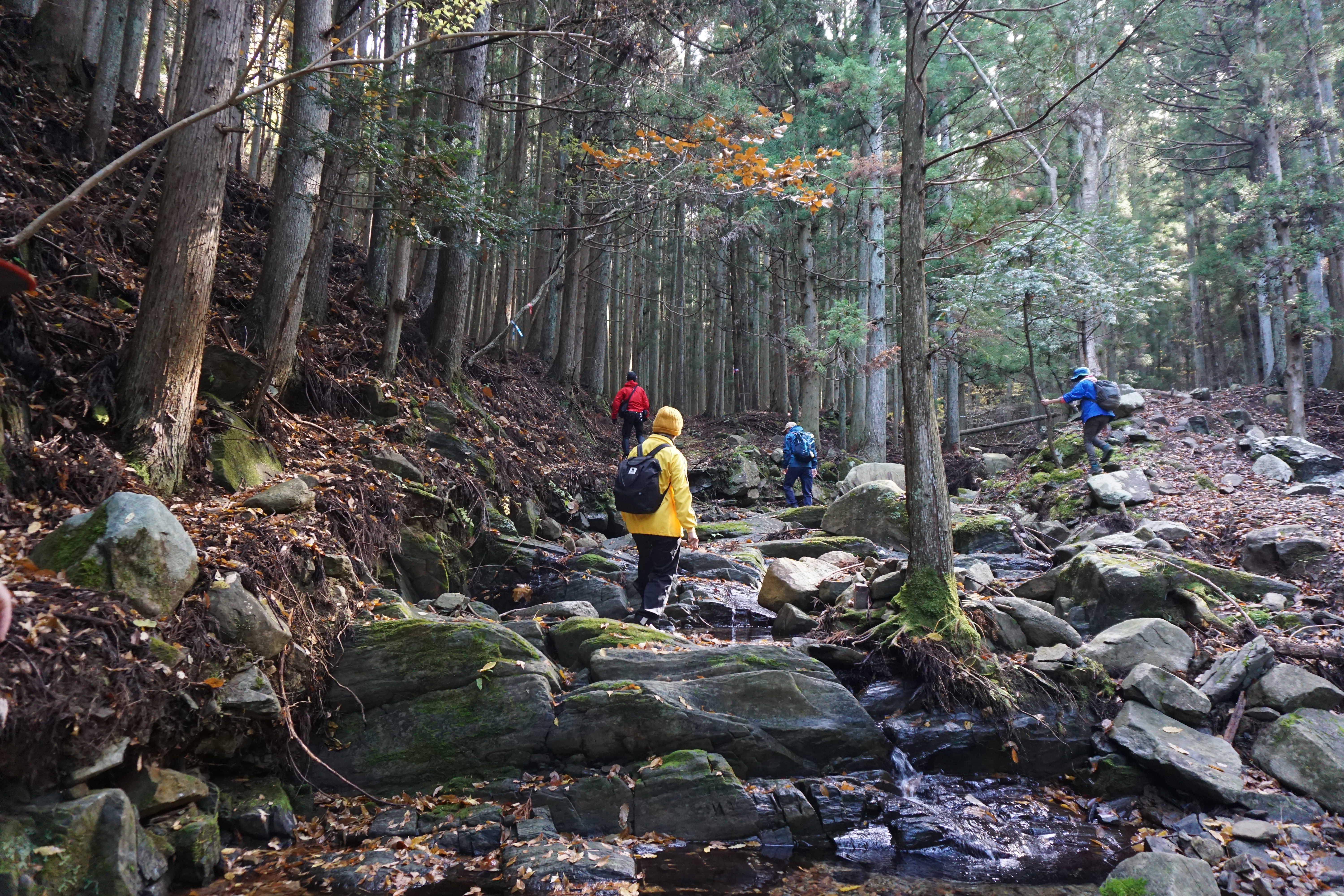 【2/21】みちのく潮風トレイル／海街リレーハイク＃6「牡鹿半島編」