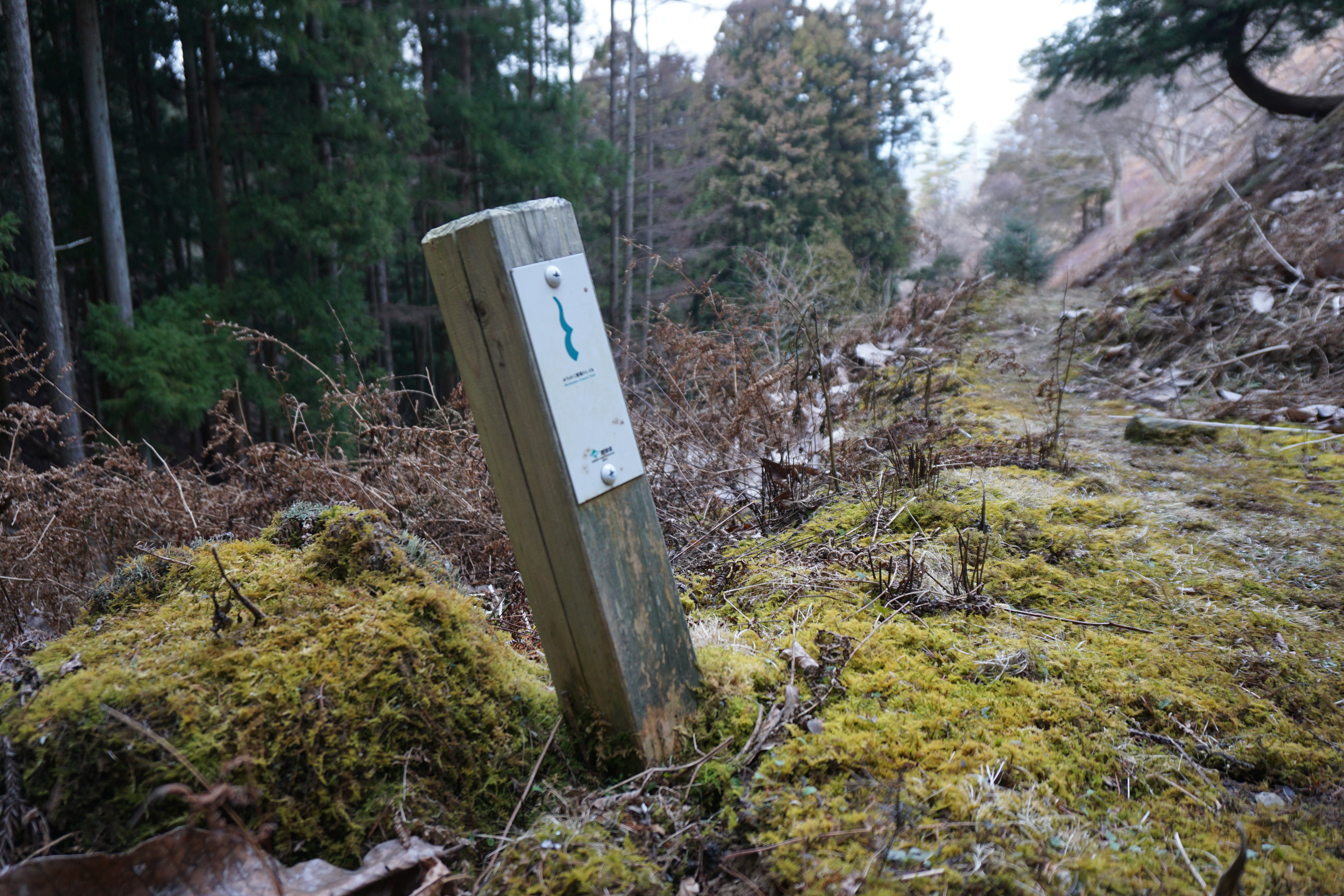 【3/21】みちのく潮風トレイル／海街リレーハイク＃7「大六天山編」