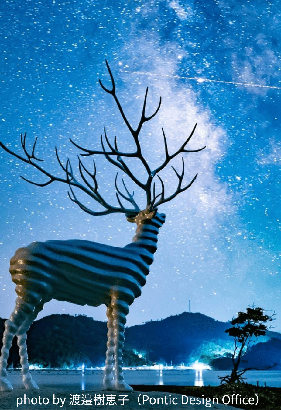 【9/25,26】Reborn-Art Festival 常設作品 White Deer (Oshika) ナイトツアー ― 仲秋の名月と迷い鹿 ―